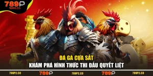 Đá Gà Cựa Sắt – Khám Phá Hình Thức Thi Đấu Quyết Liệt
