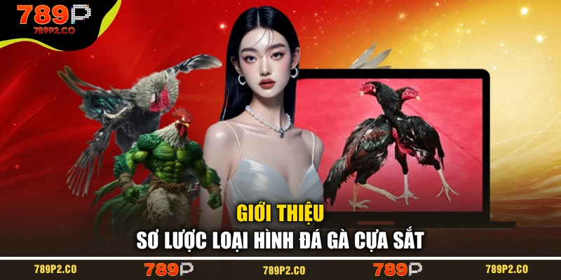 Giới thiệu sơ lược loại hình đá gà cựa sắt