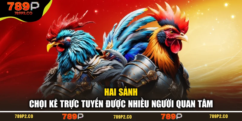 Hai sảnh chọi kê trực tuyến được nhiều người quan tâm