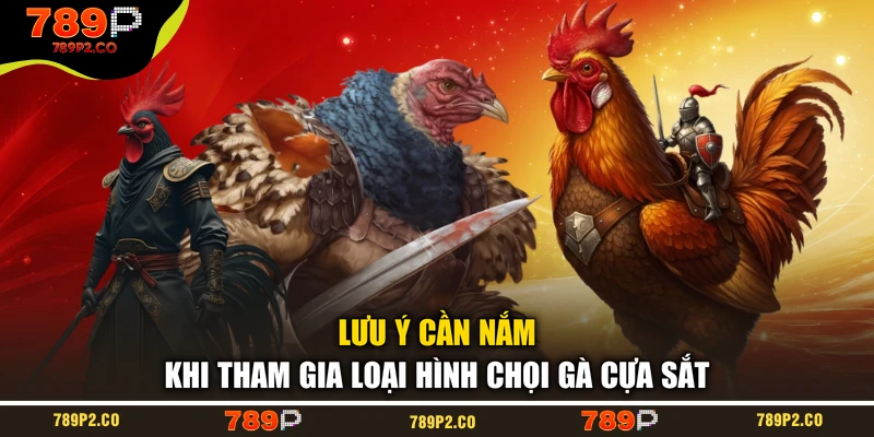 Lưu ý cần nắm khi tham gia loại hình chọi gà cựa sắt
