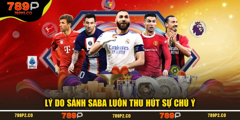 Lý do sảnh SABA luôn thu hút sự chú ý