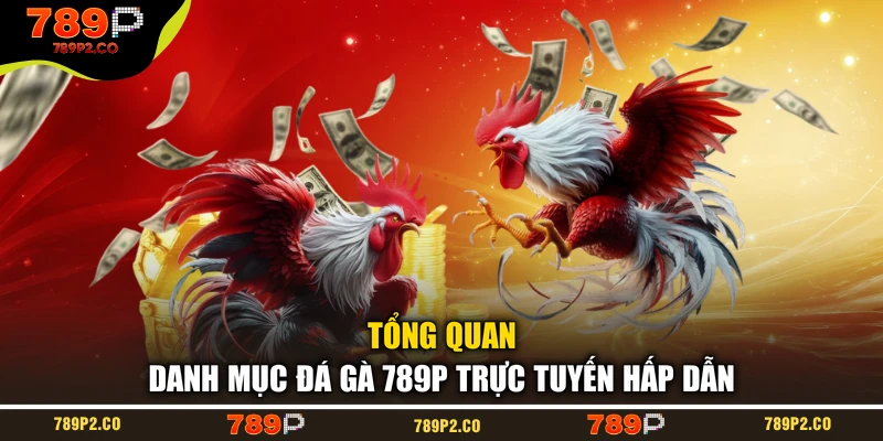 Tổng quan danh mục đá gà 789P trực tuyến hấp dẫn